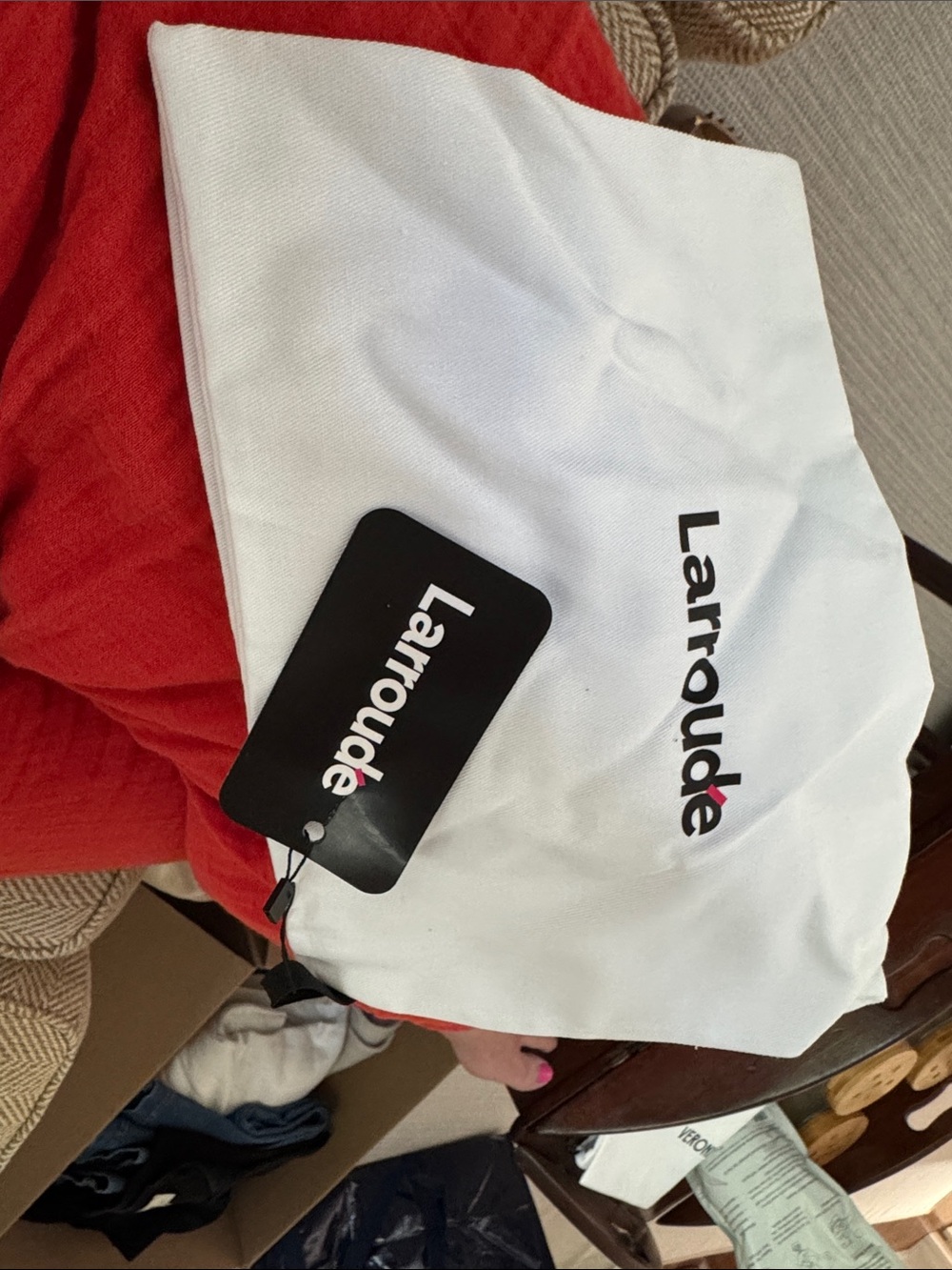 Larroude shoe bag
